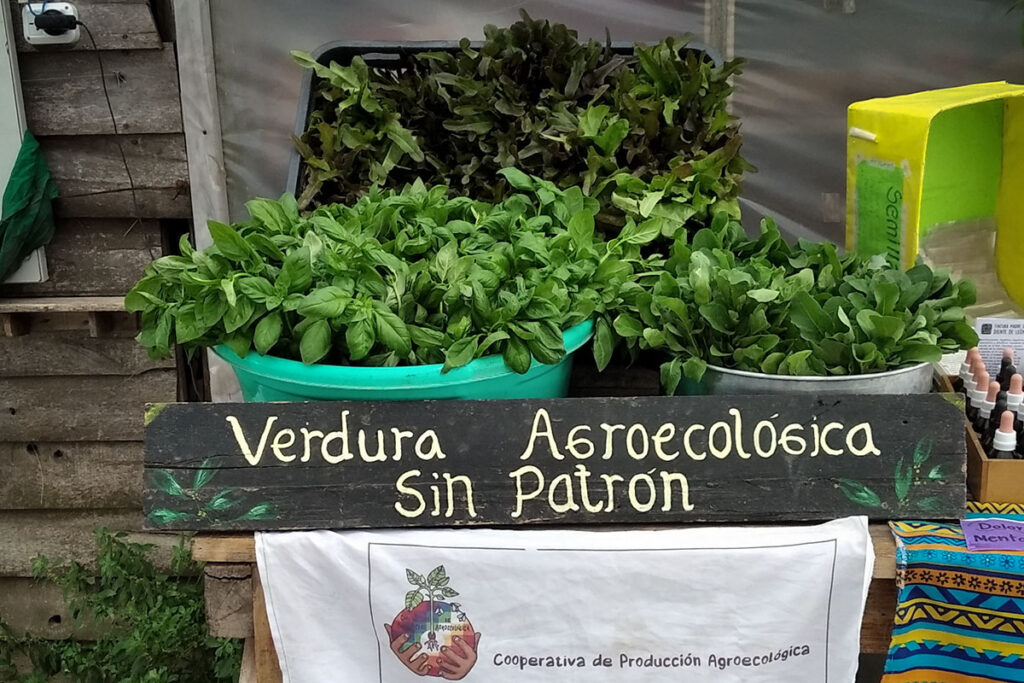 Foto 3 Agroecologia en Guernica. Otra forma de sembrar y habitar el Conurbano Credito Melisa Letenmedia Maria Josefina Severino