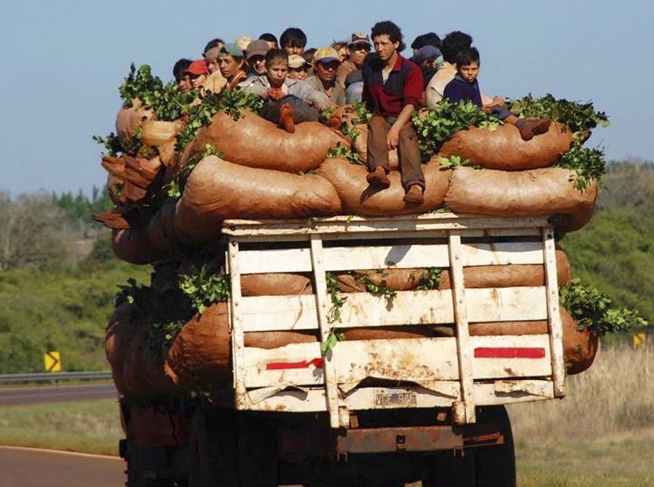 Foto1 Cosechadores de yerba reclaman por sus derechos Credito Agencia Hoy Periodismo Franco