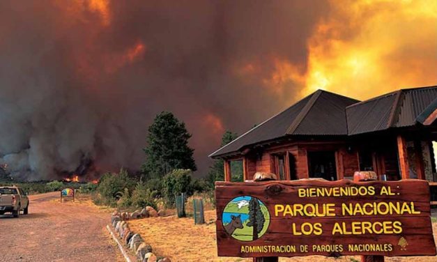 Los pueblos originarios defienden su inocencia, acusados de incendiar el Parque Nacional Los Alerces