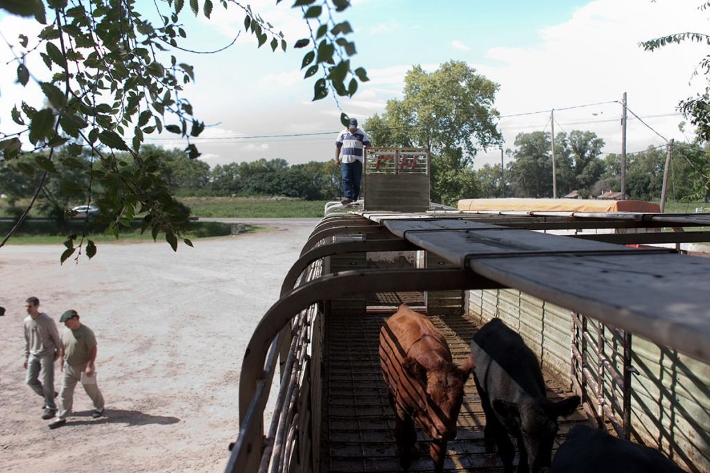 1 bajo consumo de carne 01 1024x68 1