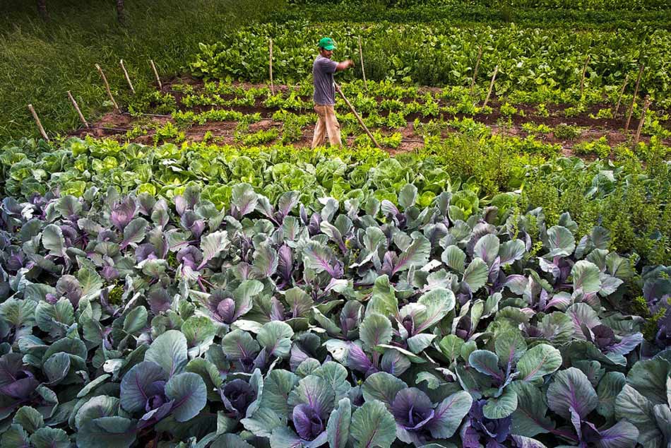 10radiografia del agro buenos aire