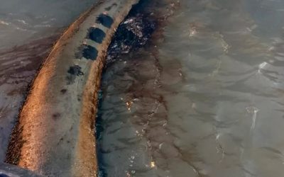 Los derrames de petróleo no son accidentes: el daño ambiental en Bahía Blanca ya está hecho