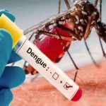 Dengue autóctono en Argentina: ¿cuáles son las medidas de prevención?