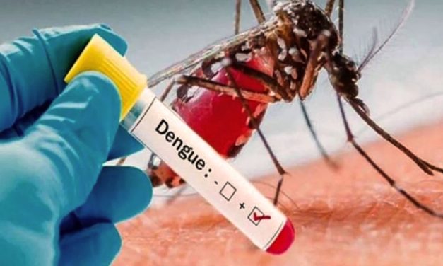 Dengue autóctono en Argentina: ¿cuáles son las medidas de prevención?
