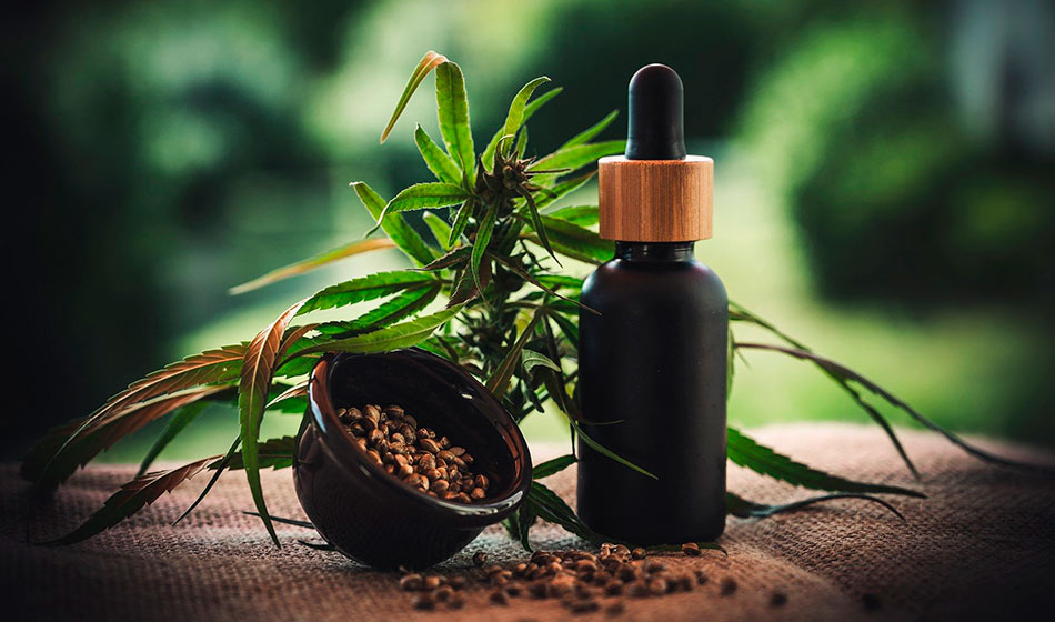 En un fallo histórico, Casación confirmó la legalidad del cannabis medicinal 