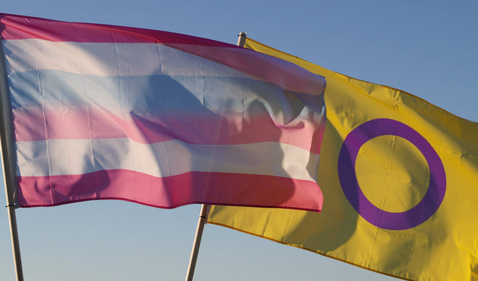 La ONU y una resolución histórica sobre los derechos de personas intersex