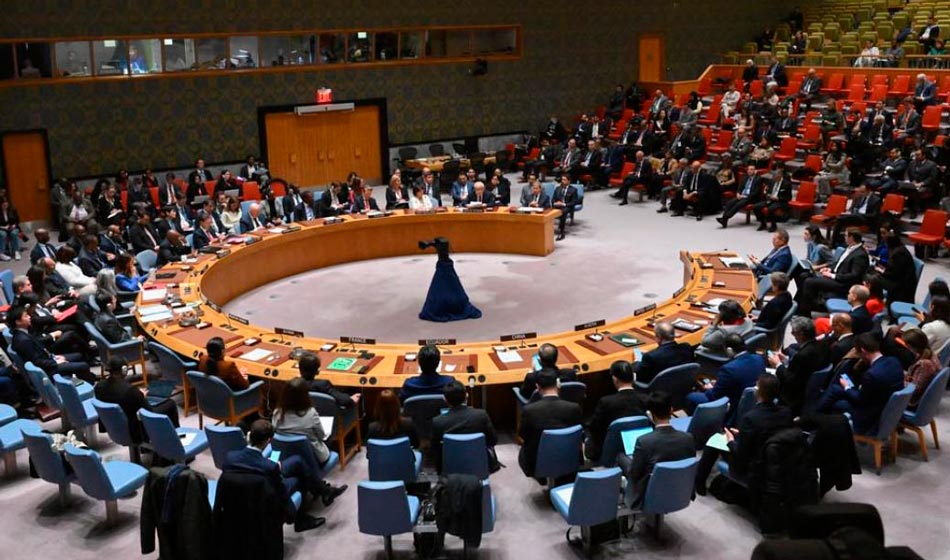 perfil Consejo de Seguridad de la ONU