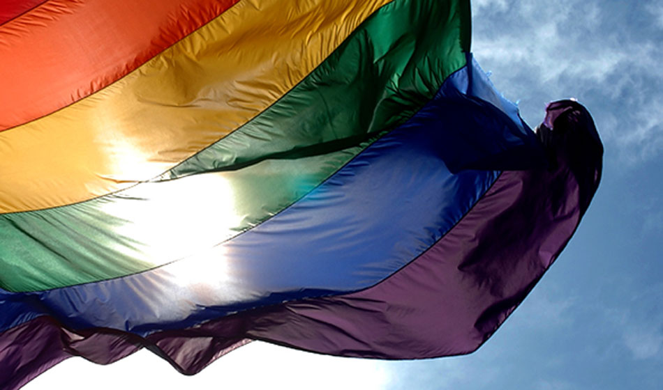 diversidad