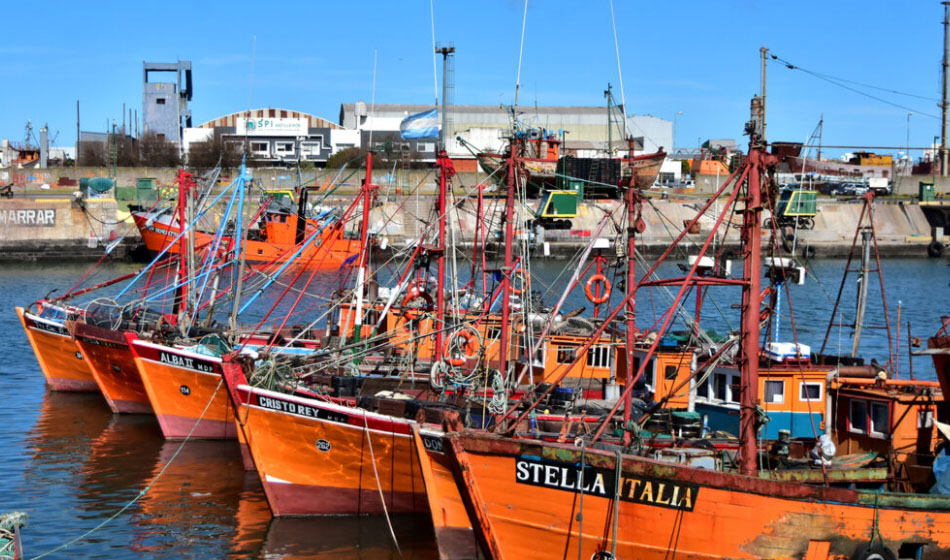 pesca