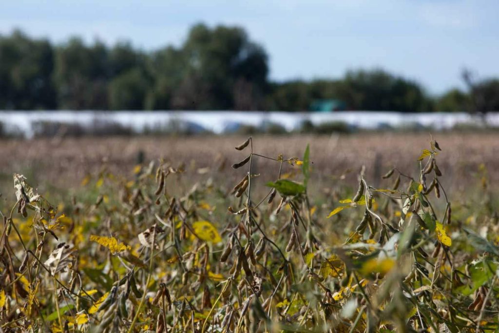 Volver al siglo XIX: agronegocio, exclusión social y política anti campesino-indígena 1 panorama volver siglo19 modelo agroexportador 003politica anti campesino indigena 001 1