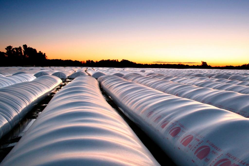 Volver al siglo XIX: agronegocio, exclusión social y política anti campesino-indígena 5 panorama volver siglo19 modelo agroexportador 003politica anti campesino indigena 004