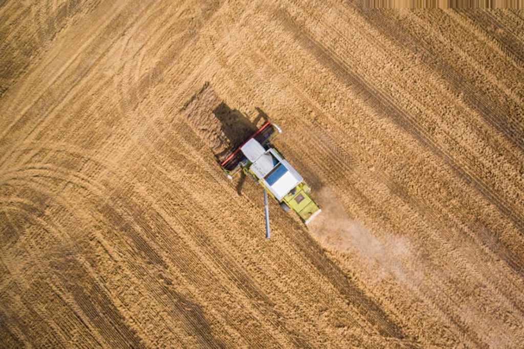 Volver al siglo XIX: agronegocio, exclusión social y política anti campesino-indígena 3 panorama volver siglo19 modelo agroexportador 003politica anti campesino indigena 02