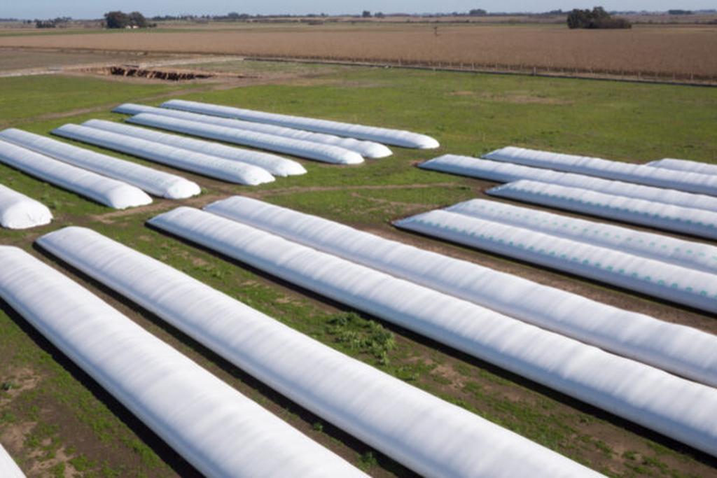 Volver al siglo XIX: agronegocio, exclusión social y política anti campesino-indígena 7 panorama volver siglo19 modelo agroexportador 003politica anti campesino indigena 06