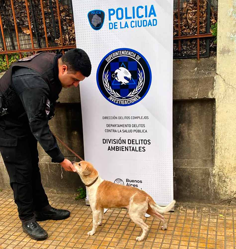 policia
