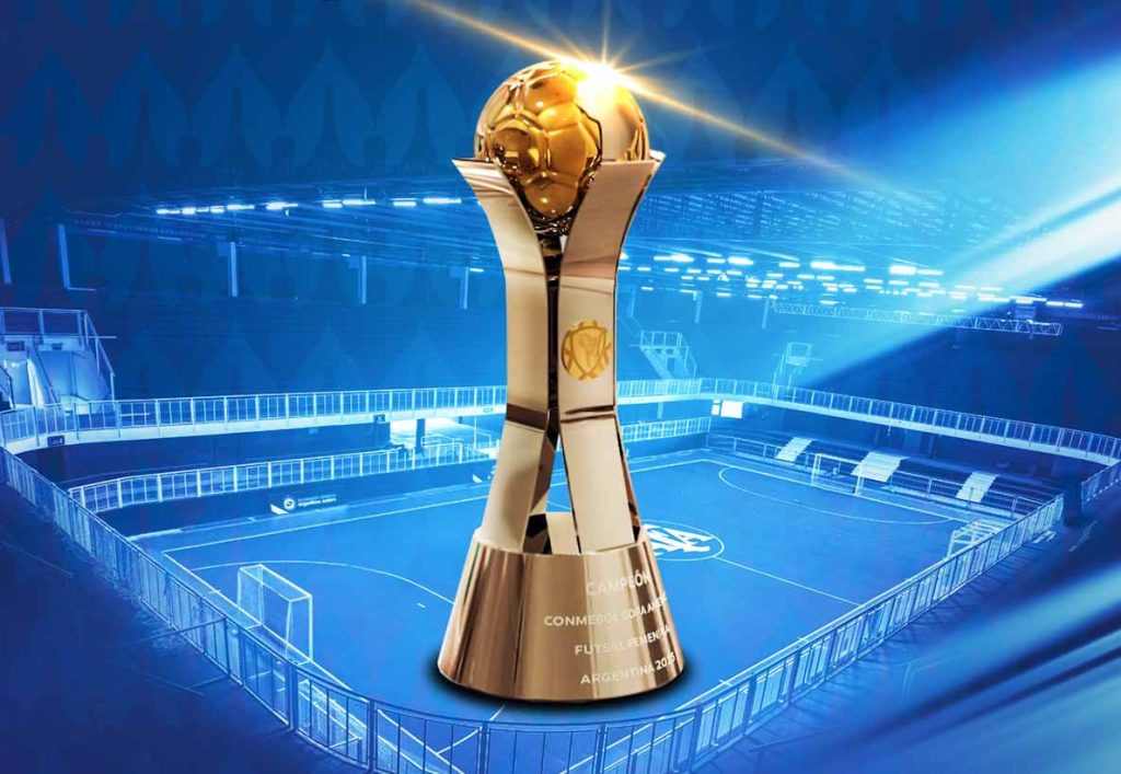 Las distintas selecciones de futsal de la Argentina continúan su actividad en lo que resta del año. La mayor femenina está disputando amistosos en el exterior y la sub20 masculina conoció a sus rivales para el próximo torneo.