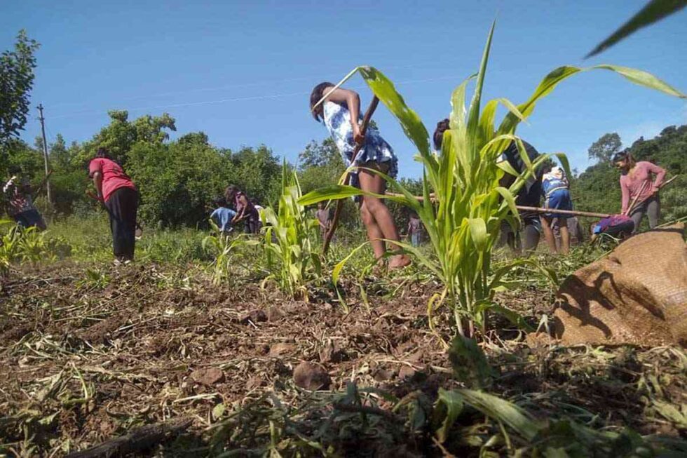 Comunidad Mbya, Misiones 
