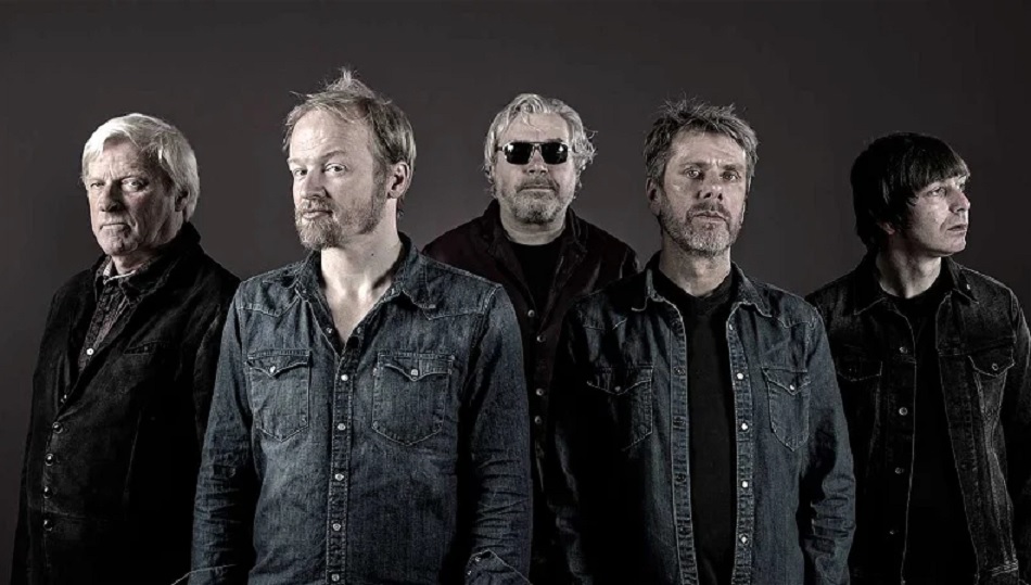 the analogues