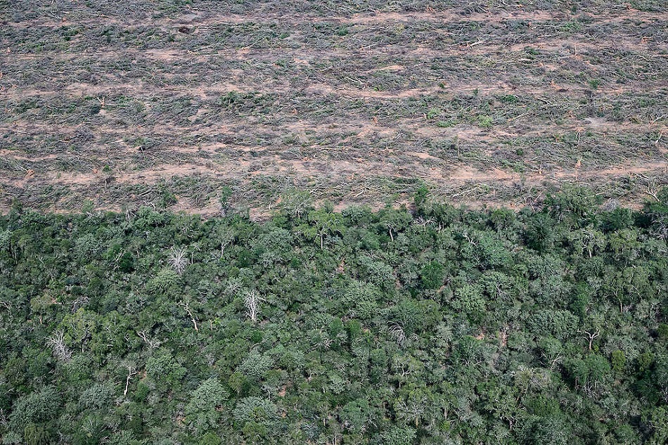 Greenpeace