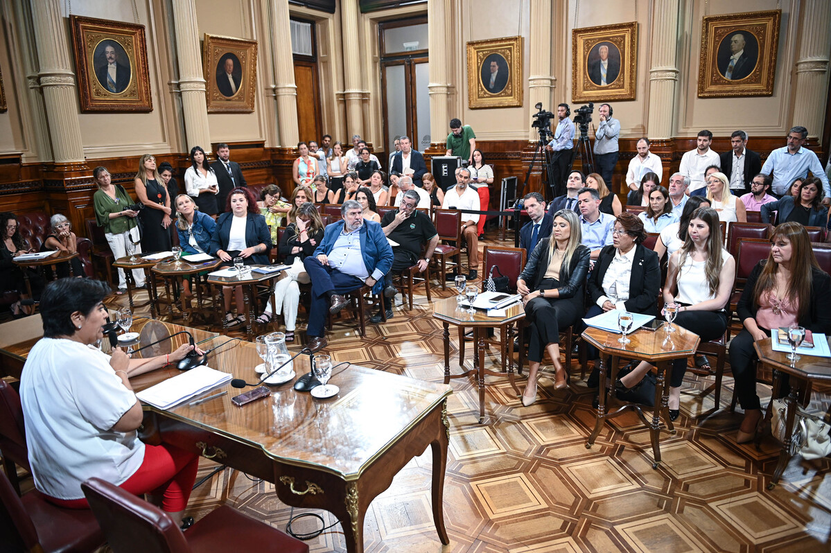 Tras un año de demora, el Senado definió la Comisión Bicameral encargada de asignar al Defensor del niño 1 comisión