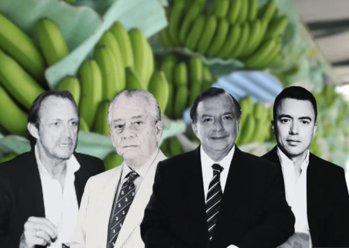 Elecciones Ecuador