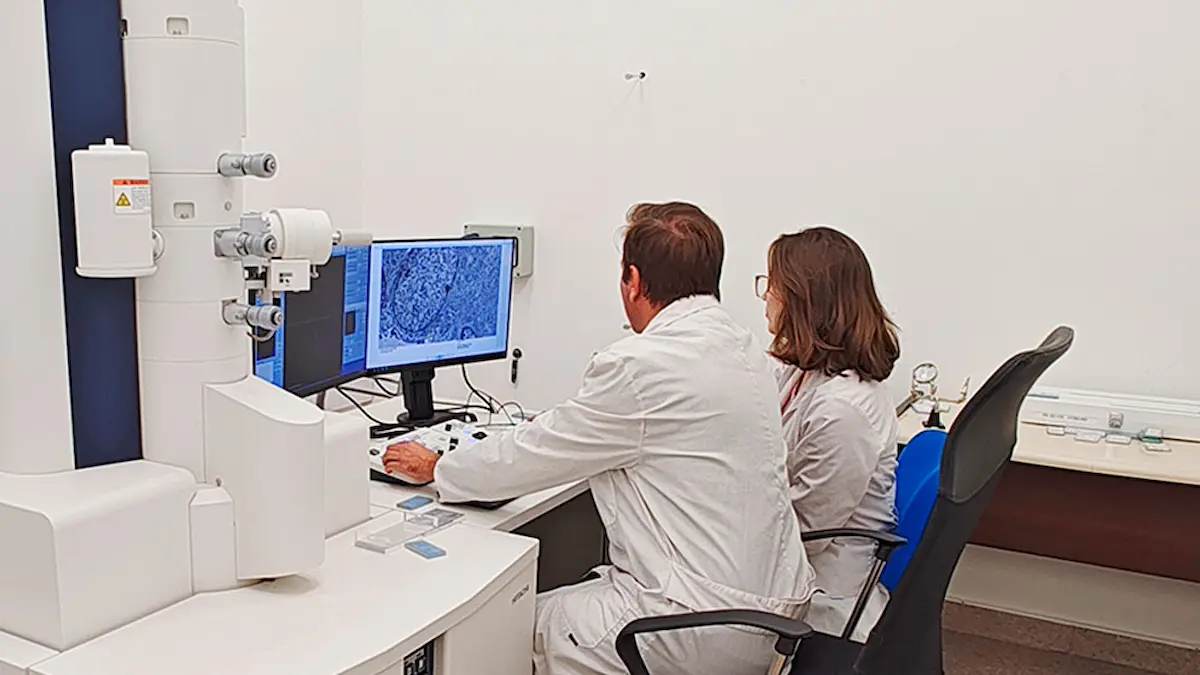 La ciencia resiste: nuevo avance del CONICET en medio del ajuste del gobierno 1 conicet