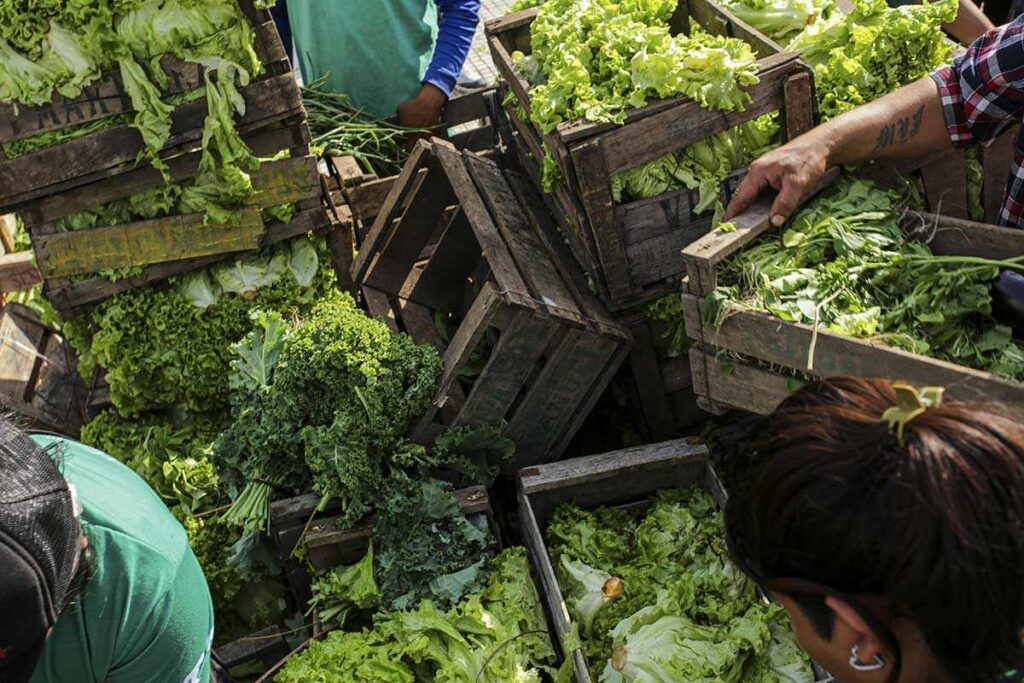 informe calisas siberania alimentaria 03 1024x683 1