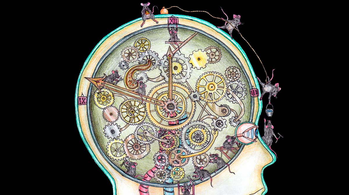Descubrieron que el reloj biológico de los tumores permitió mejorar la quimioterapia 1 reloj biológico