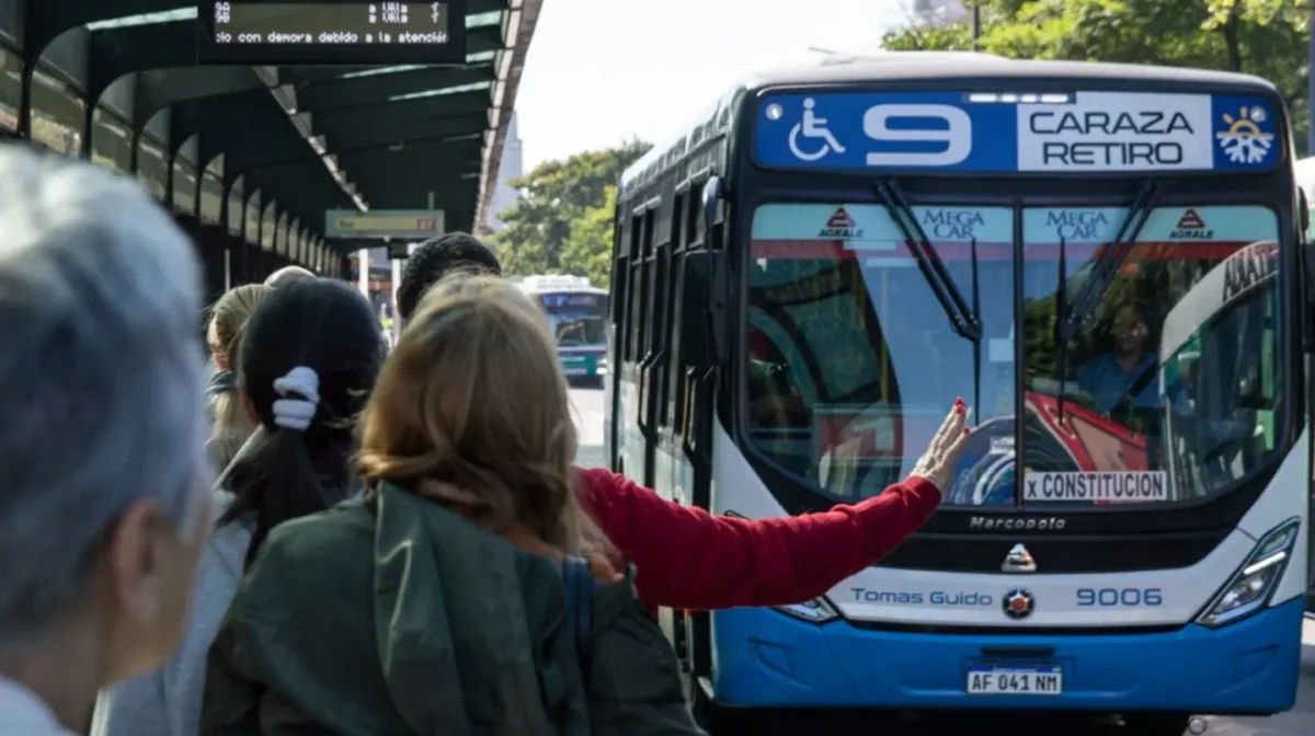 colectivo