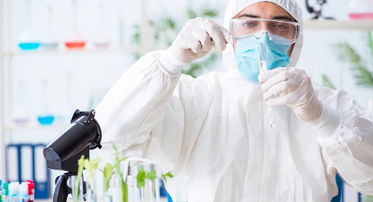 Revolución en la agroquímica: pesticidas biodegradables basados en ARN 1 pesticidas