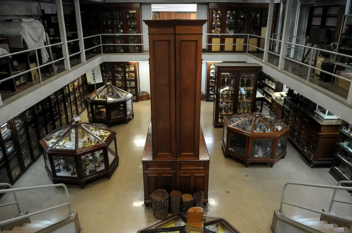 El Museo de Farmacobotánica celebra 125 años al servicio de la ciencia, educación y cultura 1 museo