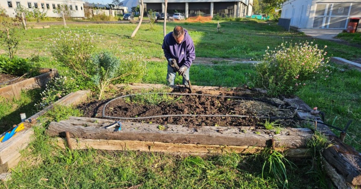 Sembrar futuro: la UNSAM impulsa un nodo agroecológico comunitario 1 unsam