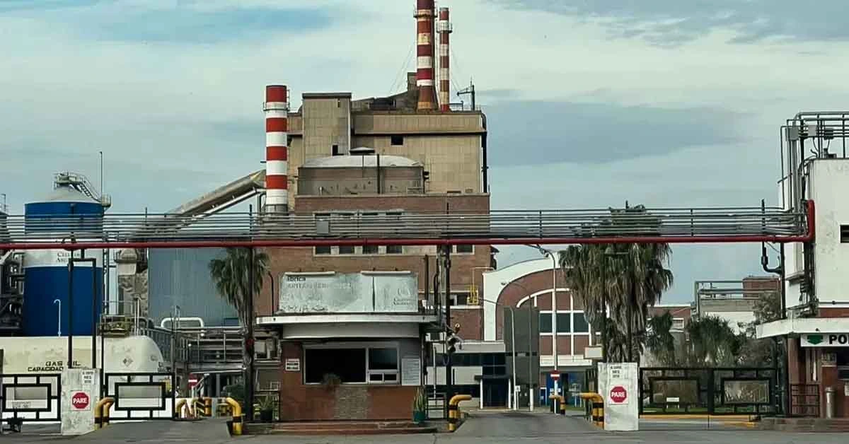 Crisis en Celulosa Argentina: solicitan al Gobierno santafesino un plan urgente para salvar casi mil empleos 1 celulosa