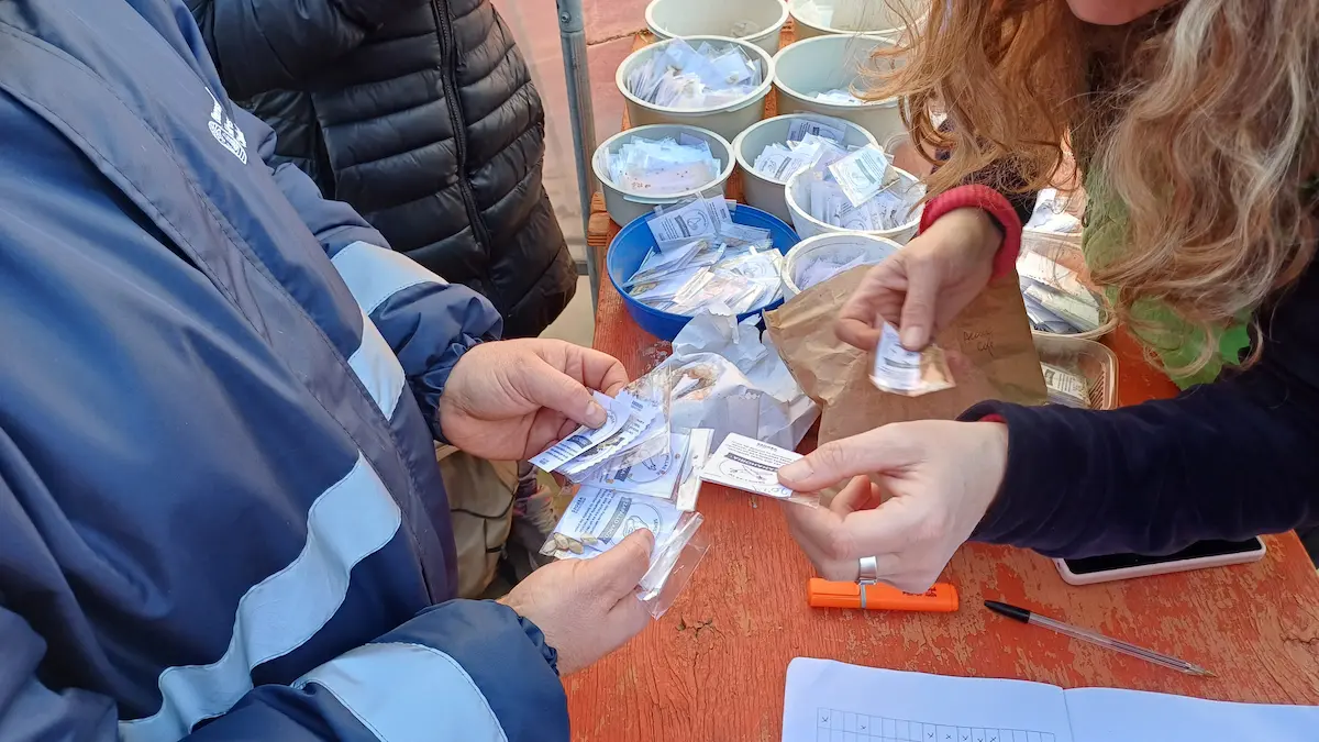 Huertas escolares: aulas a cielo abierto para cultivar un futuro sustentable 1 huertas