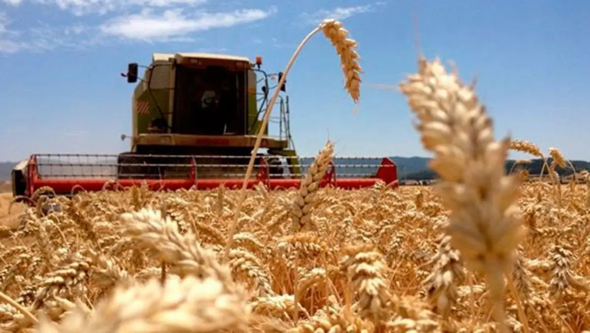 Retenciones Cerealeras Productores