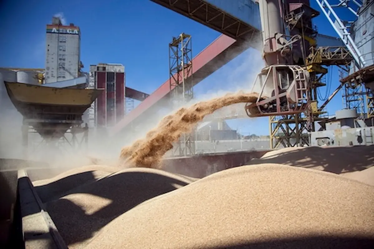 Retenciones Productores Cerealeras