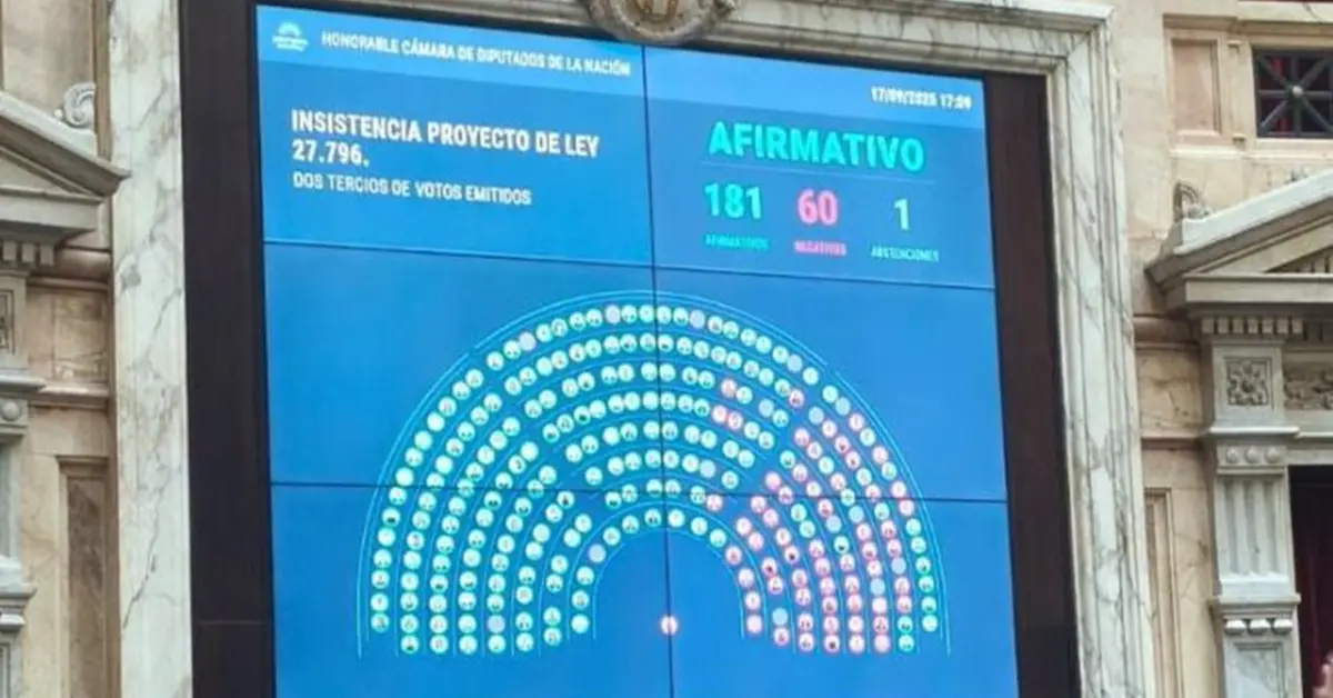 Diputados rechazó los vetos y le asestó una nueva derrota a Javier Milei 3 Votacion Emergencia en el Garrahan
