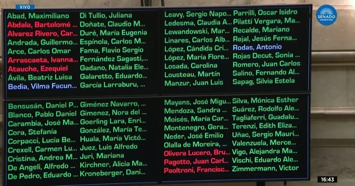El Senado anuló el veto de Milei y reactivó la ley de emergencia en discapacidad 1 votacion Senado discapacidad
