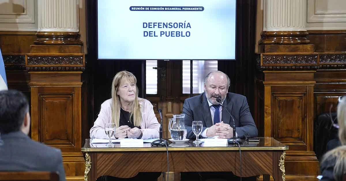 Organizaciones piden un Defensor del Pueblo de la Nación con trayectoria en derechos humanos y género 1 defensor