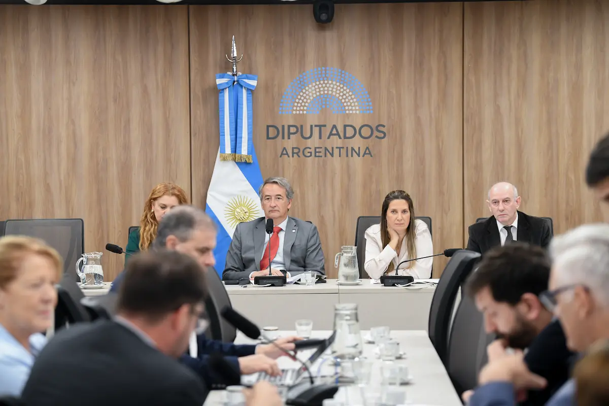 Comision Diputados Nacion