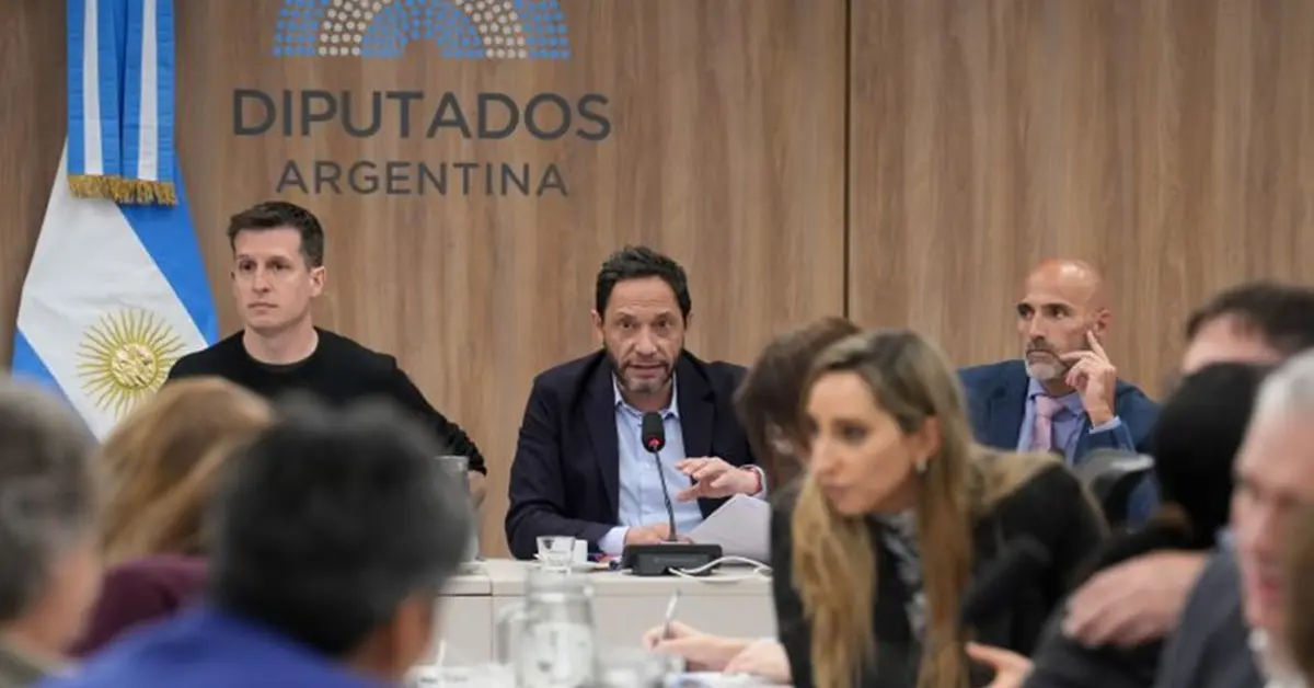 La Comisión del caso $LIBRA lleva su reclamo a la Corte Suprema por la falta de auxilio judicial 2 Caso Libra Comision