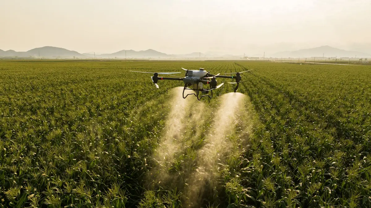 La Justicia entrerriana frenó las fumigaciones aéreas con agrotóxicos tras un amparo ambiental 1 fumigación