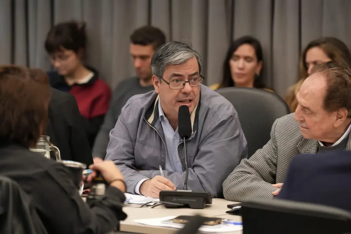 El Congreso cierra un año intenso con dudas sobre las últimas sesiones 3 german martinez diputado uxp foto camara de diputados WNRPUIIGPBET7IRDSXUFGFXDLM