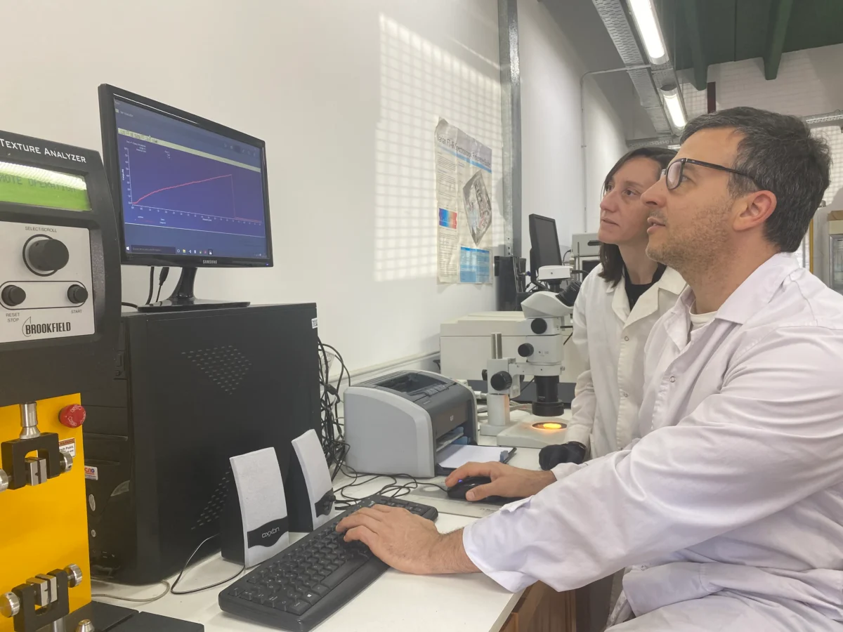 plasticos biodegradables conicet