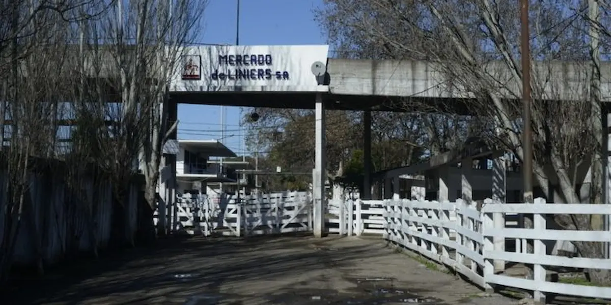 Coparticipación: Jorge Macri va por vías alternativas y solicita el pago con terrenos de la Nación 2 Macri Mercado Coparticipacion