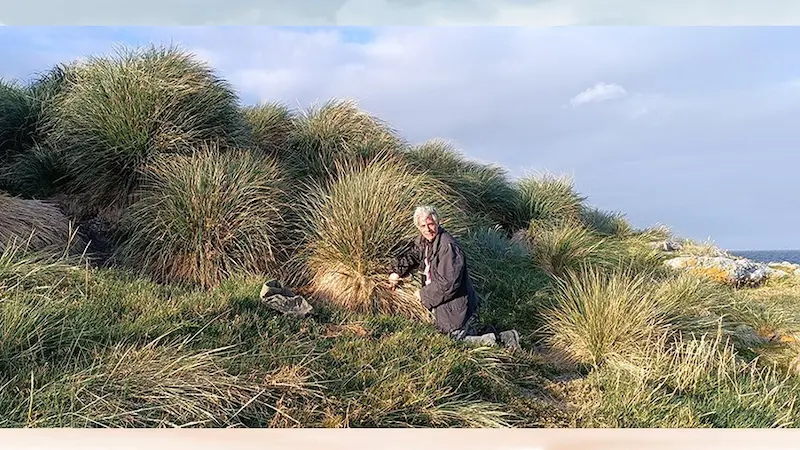Más gloria para el Conicet con el premio de la Royal Society Publishing 2 Martin Ramirez Malvinas