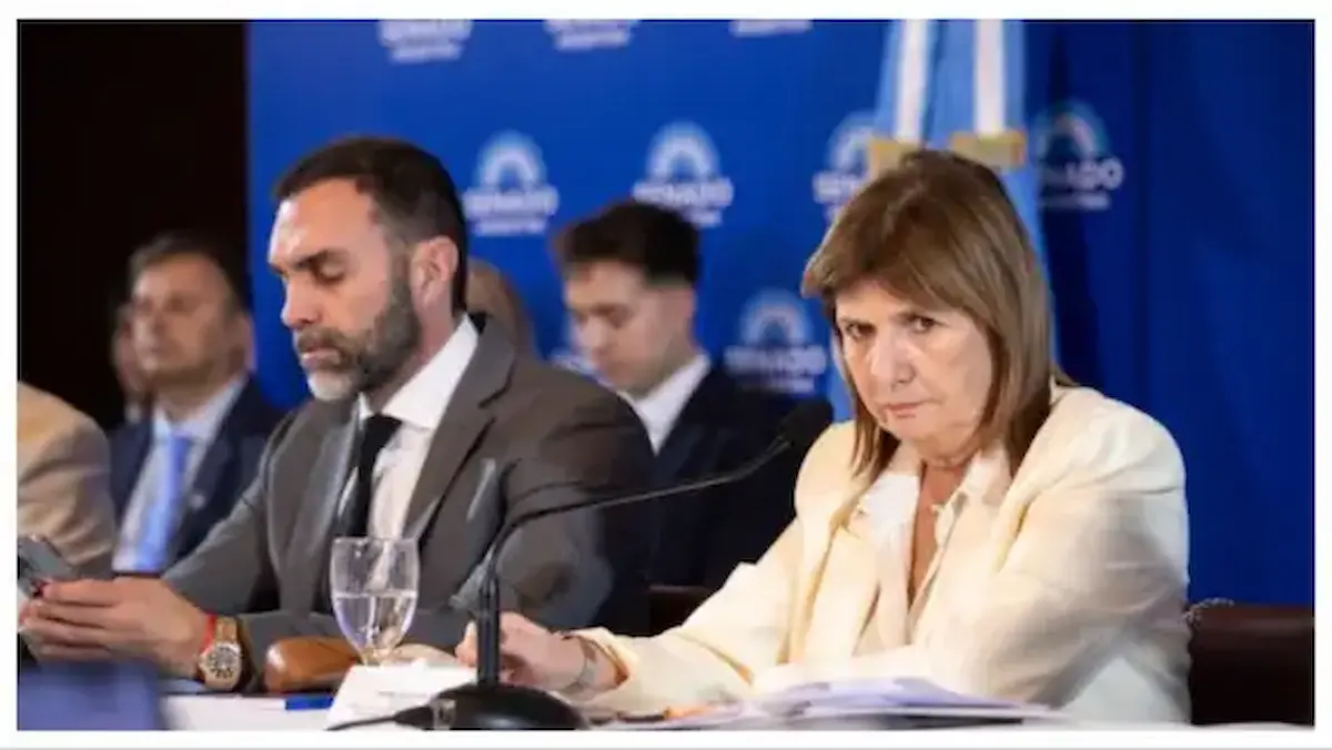 Debate crucial en el Senado: el Gobierno buscará aprobar el Presupuesto que desfinancie ciencia y educación 2 Senado Bullrich Presupuesto