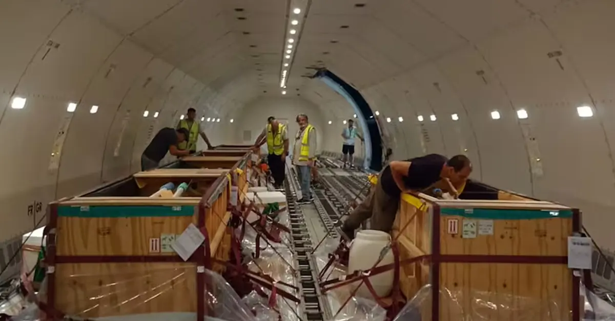 Una organización animalista cuestiona el traslado de delfines del Aquarium de Mar del Plata a Egipto 1 delfines