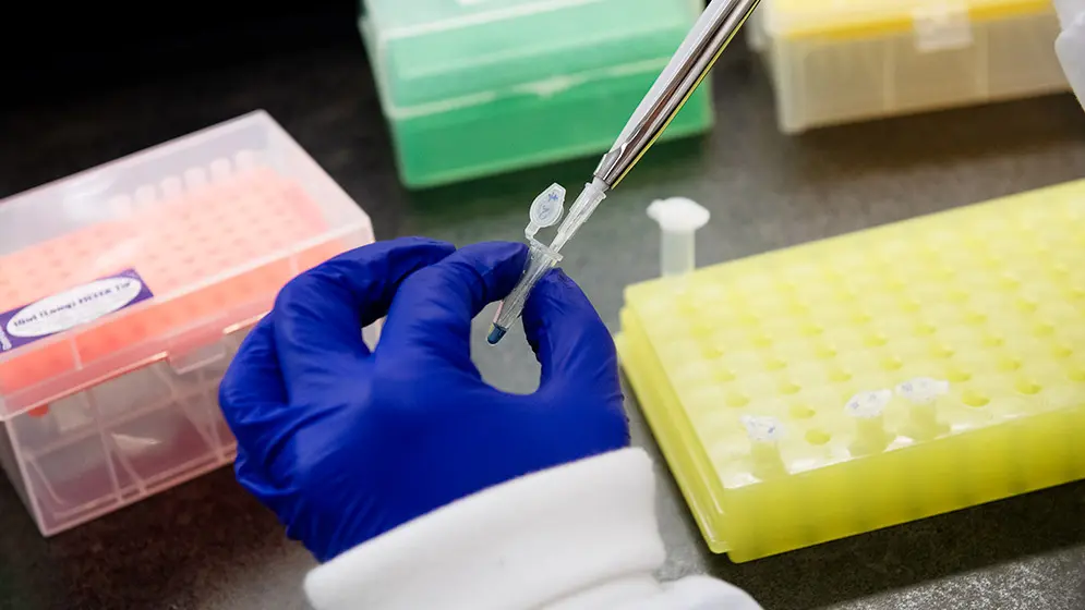 Lo más destacado de la ciencia argentina en un 2025 de ajuste del gobierno libertario 2 balance ano ciencia 3