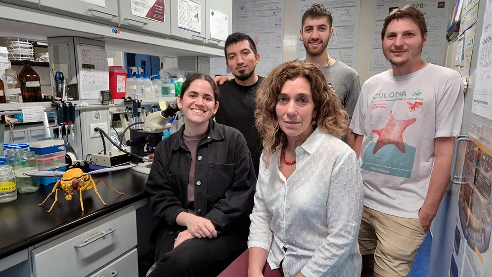 Hallazgo del CONICET: observan por primera vez cómo cambian las “fábricas de energía” del reloj biológico durante el día 3 reloj biologico conicet
