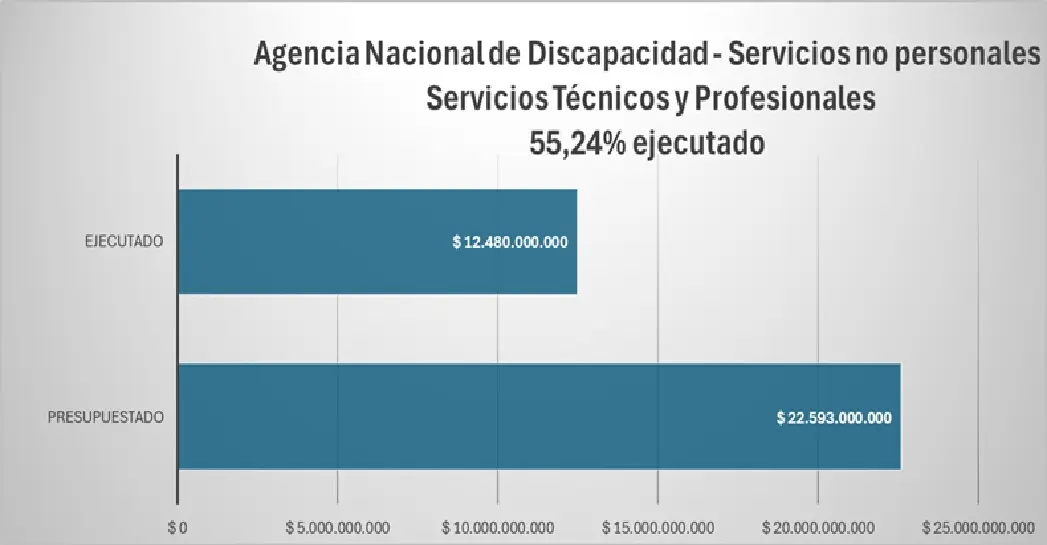 Sin Presupuesto, cómo fue el ajuste de Milei en áreas clave del Estado 5 Presupuesto ANDIS